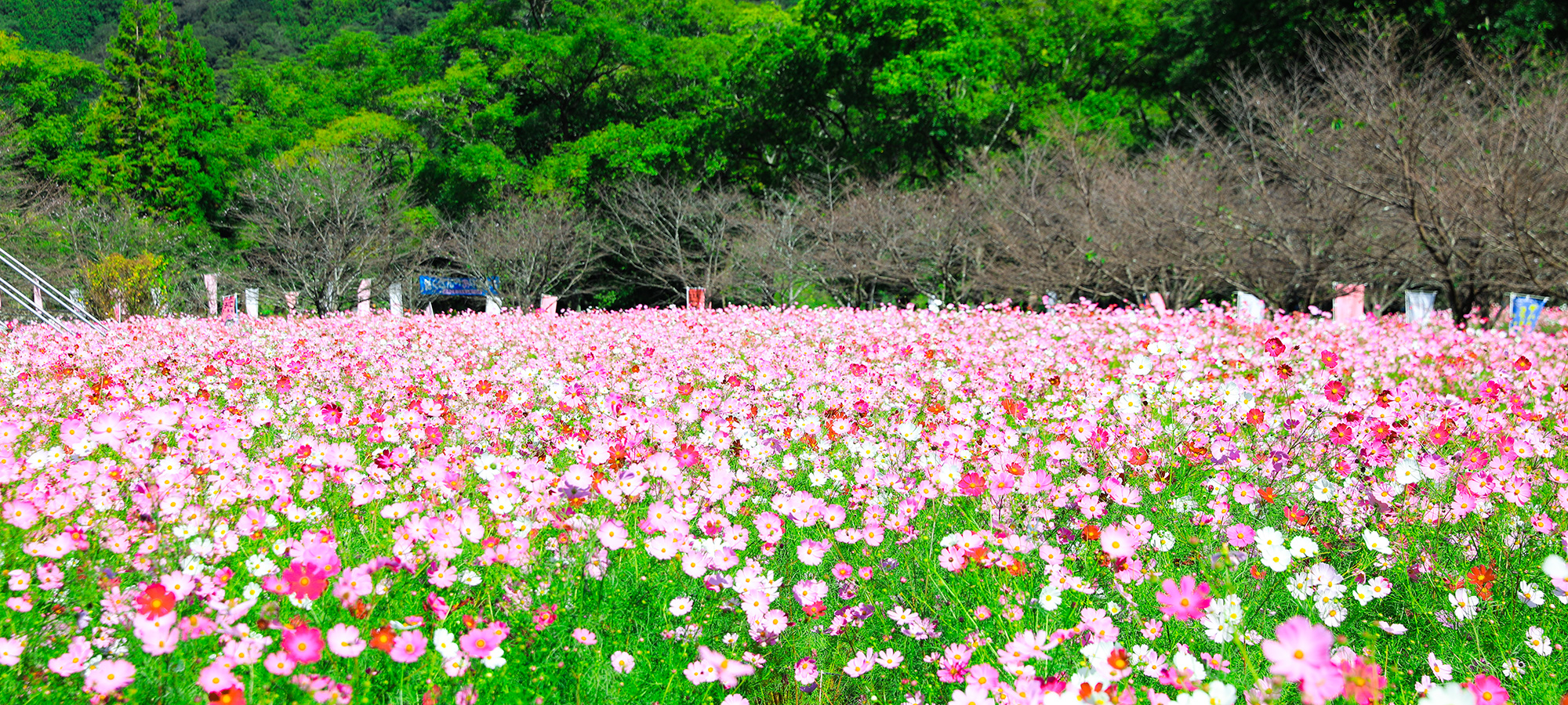 株式会社　高橋組　髙橋コンクリート　脱炭素　越知町コスモス