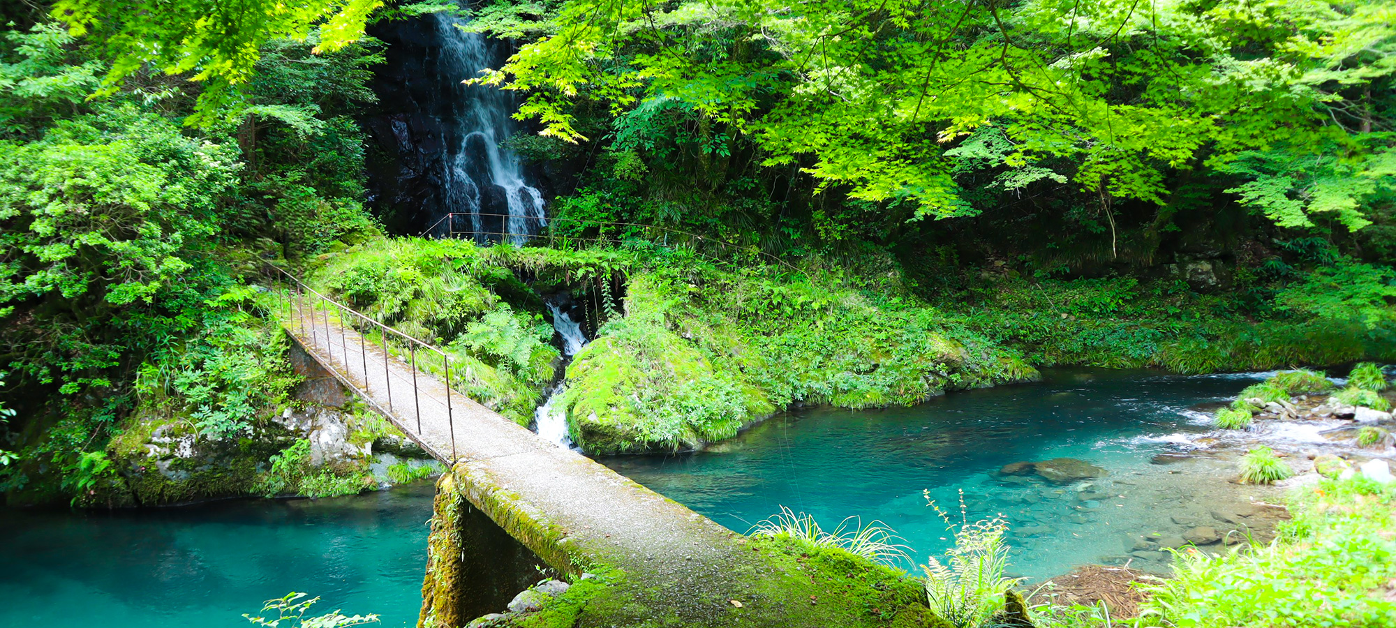 株式会社　高橋組　髙橋コンクリート　脱炭素　越知町堂林